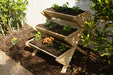 3 tier garden bed in garden area