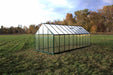 Grandio Ascent 8x20 greenhouse showcased in a lush field, featuring a transparent polycarbonate covering and a solid green frame, ideal for large-scale gardening.