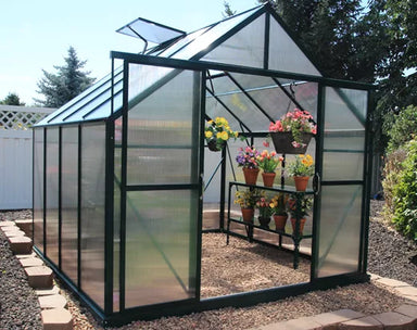 Grandio Ascent 8x8 greenhouse with clear polycarbonate panels and sturdy green frame, perfect for backyard gardening