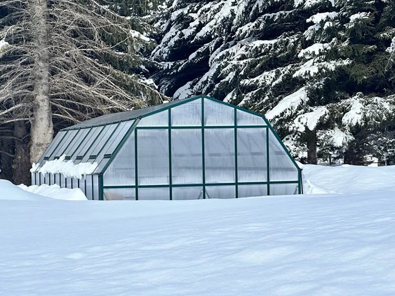 Greenhouse in snowy landscape with evergreen backdrop