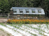 Grandio greenhouse in a vibrant field of wildflowers, showcasing a natural and eco-friendly growing environment.