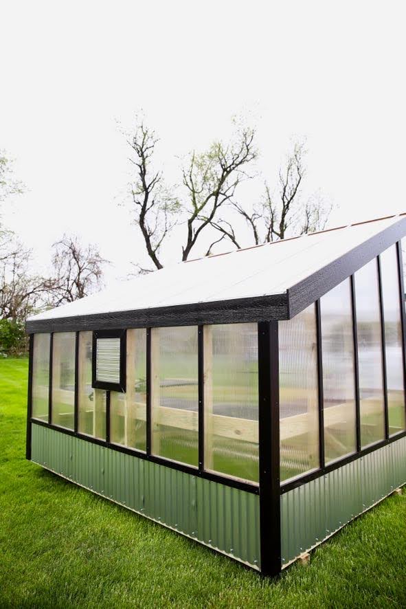 Rear view of Lean to greenhouse