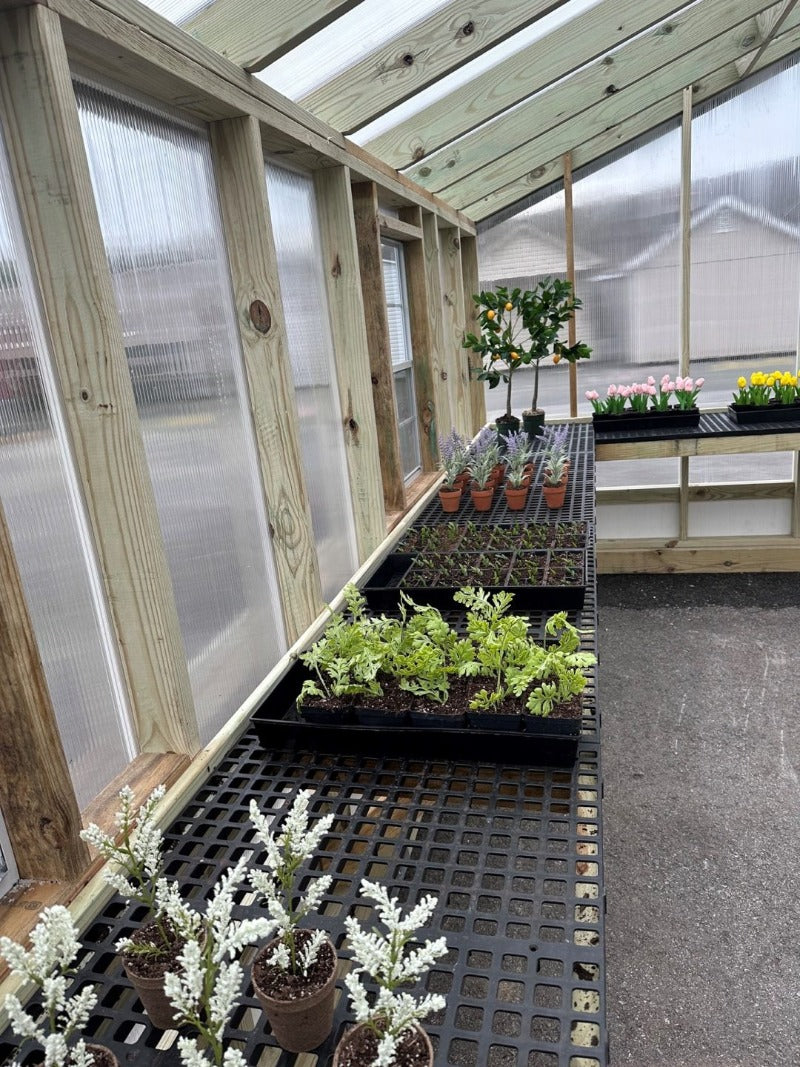 interior view of double wide greenhouse with benches